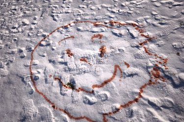 Sněhové hrátky a&nbsp;pokusy - Rosničky