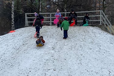 VEVERKY - Zima čaruje (leden 2026)