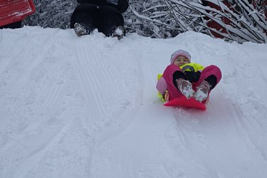 Rosničky aktivity - únor