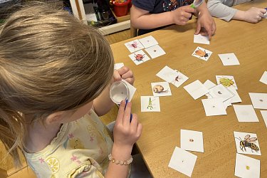 Obrázek č.136