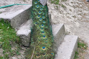 Obrázek č.40