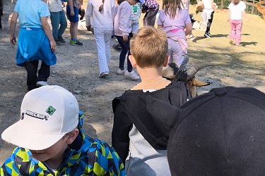 Obrázek č.107
