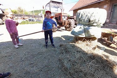Obrázek č.1