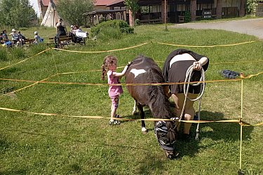 Obrázek č.287