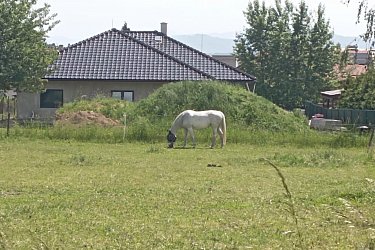 Obrázek č.288