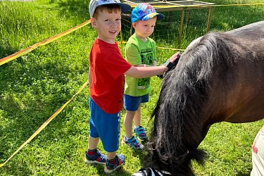 Obrázek č.235