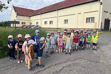 Obrázek č.29