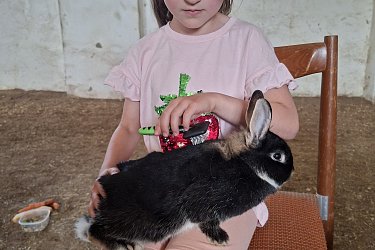 Obrázek č.60