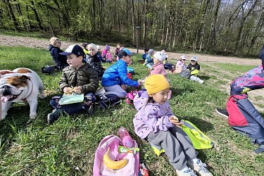 Obrázek č.8