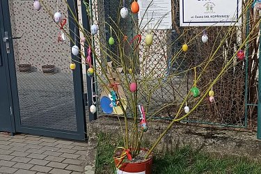 Obrázek č.55