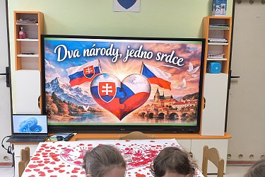 Obrázek č.219