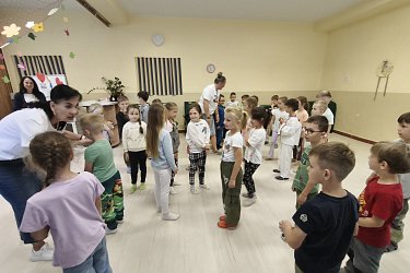 Obrázek č.208