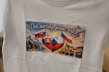 Obrázek č.38