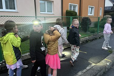 Obrázek č.52