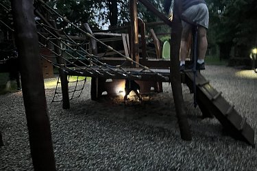 Obrázek č.60