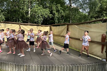 Obrázek č.91