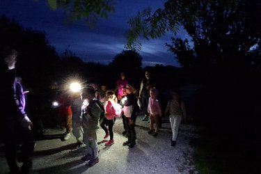 Obrázek č.44