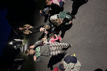 Obrázek č.52