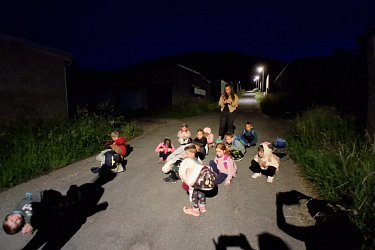 Obrázek č.60