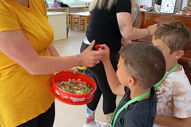 Obrázek č.51