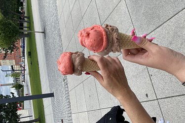 Obrázek č.19