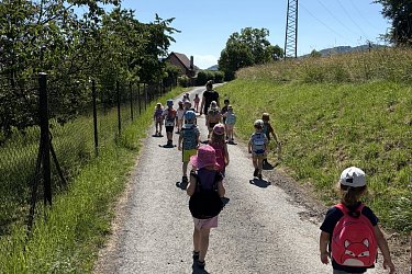 Obrázek č.138