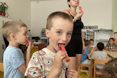 Obrázek č.21