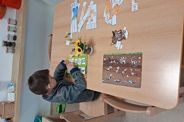 Obrázek č.25
