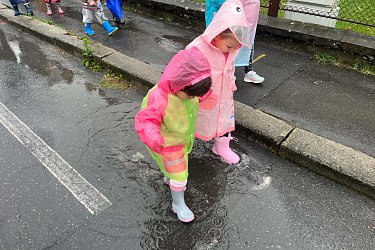 Obrázek č.34