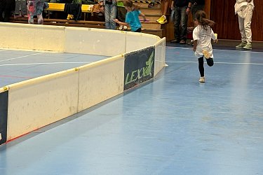 Obrázek č.51