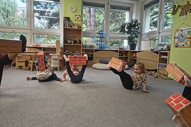 Obrázek č.224