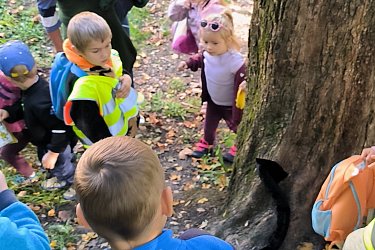 Obrázek č.31