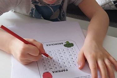 Obrázek č.28