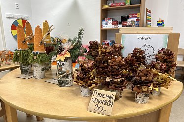 Obrázek č.1