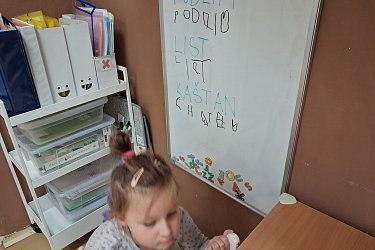 Obrázek č.116