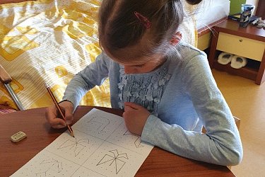 Obrázek č.105