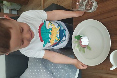 Obrázek č.24