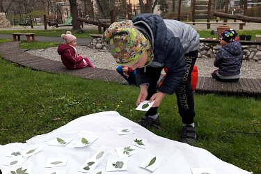Obrázek č.90
