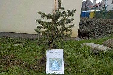 Obrázek č.48