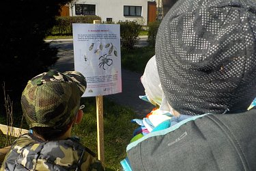 Obrázek č.25