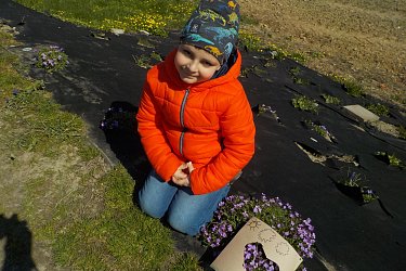 Obrázek č.40