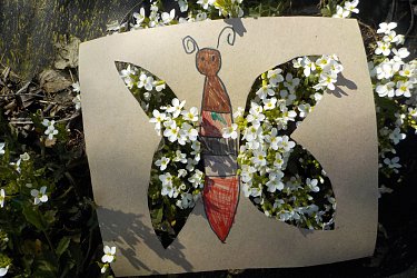 Obrázek č.44