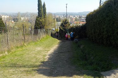 Obrázek č.46