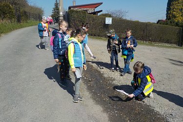 Obrázek č.61