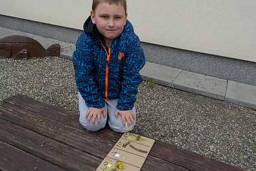 Obrázek č.98