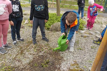 Obrázek č.138