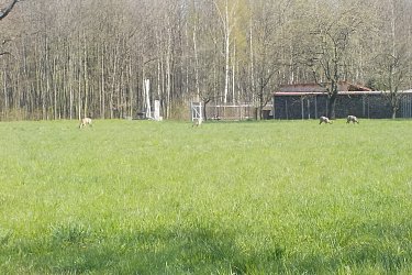 Obrázek č.32