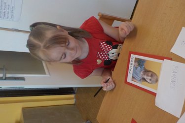 Obrázek č.15