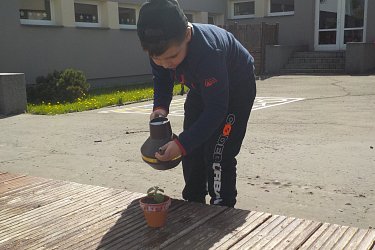 Obrázek č.73