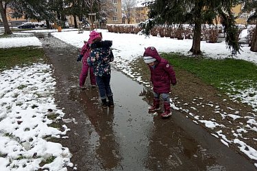 Obrázek č.66